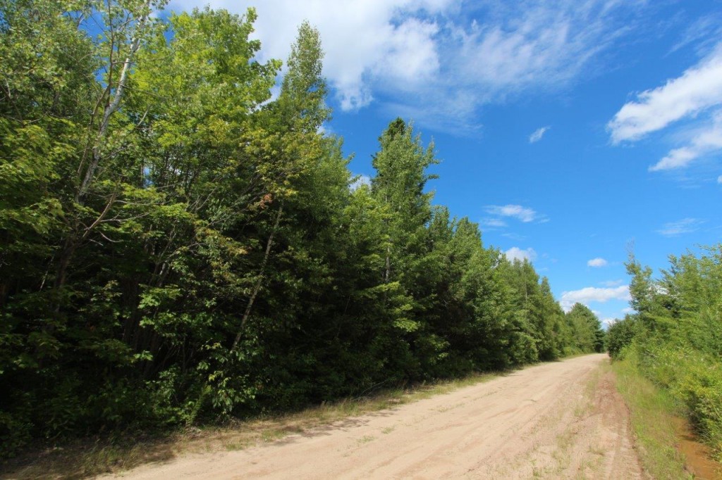 wooded land for sale