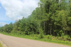 Hunting property in northern Ontario