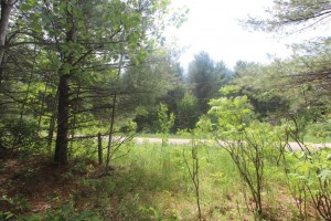 surveyed lot for sale