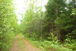 New Brunswick property for sale