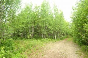 New Brunswick land for sale