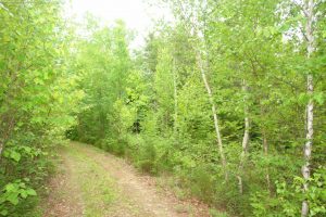 New Brunswick vacant land for sale