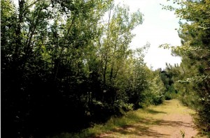 land for sale in PEI