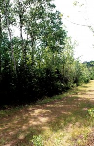 roadside view of property