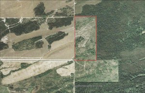 large acreage land for sale