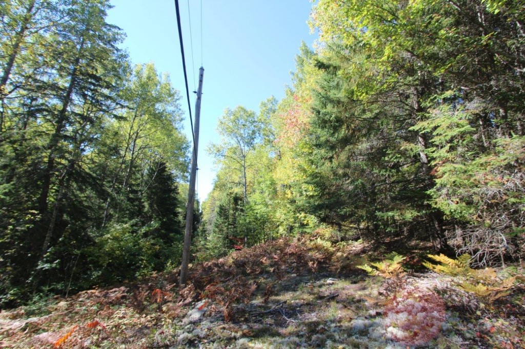 vacant lot for sale Nipissing Ontario Dignam Land Land for Sale in