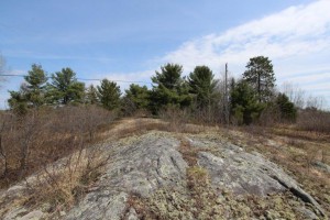 view of rock on property