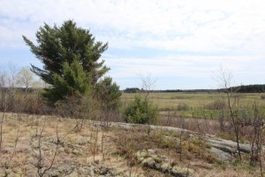 hill top land for sale Nippising