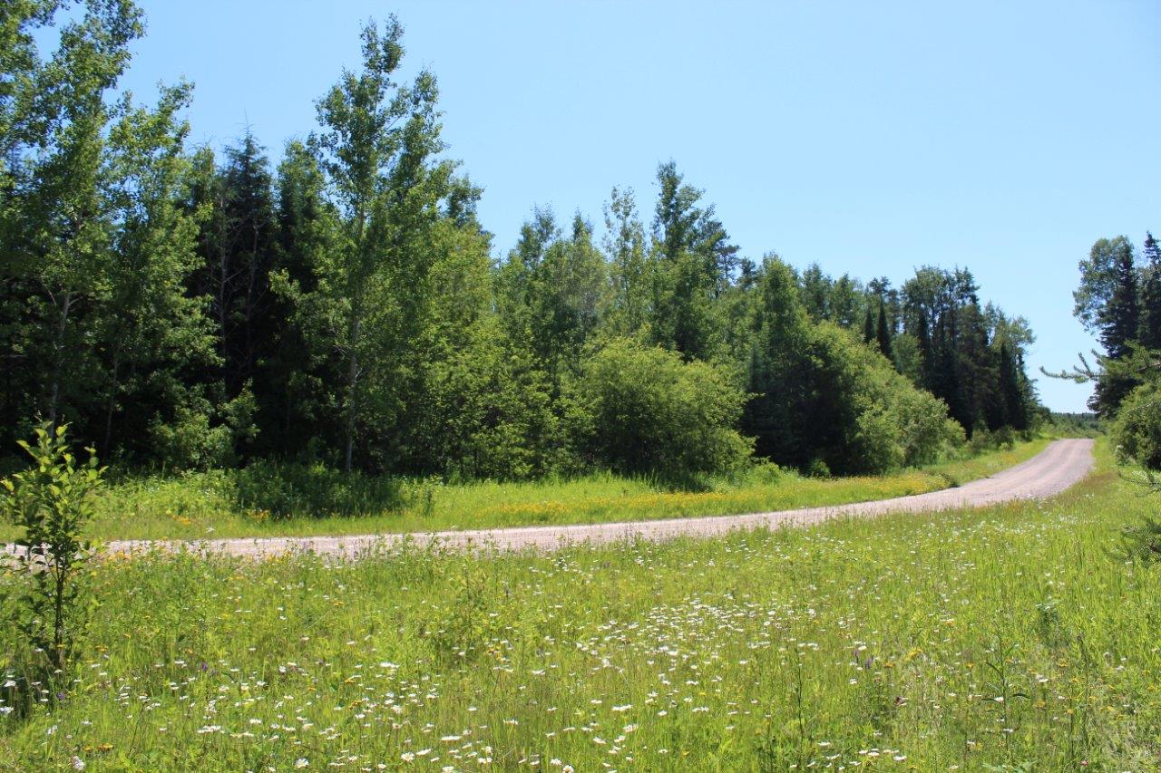 Land for Sale Bordering Crown land Northern Ontario