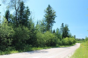 large acreage property