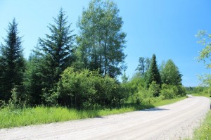 plot of land in Kenora ontario