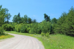 vacant land for sale in Northern Ontario