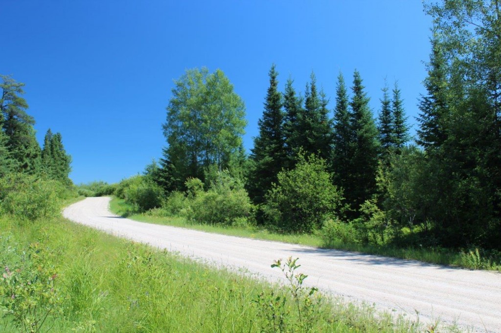 vacant land for sale ontario Dignam Land Land for Sale in Canada