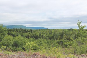 land for sale in Cape Breton Island