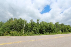 lot for sale in ontario