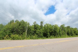 lot for sale in ontario