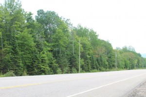 vacant wooded lot for sale