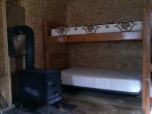 cabin bunk beds