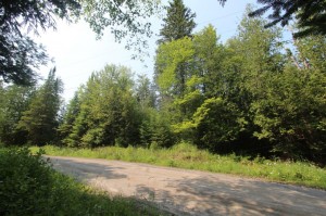lot for sale in Ontario