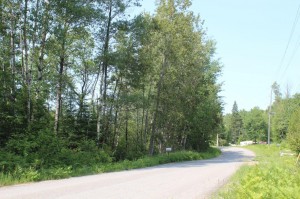 property in Bancroft