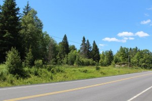 lot for sale in Parry Sound