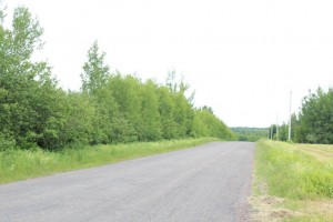 road in front of property