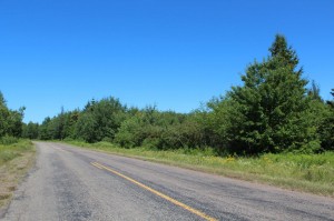 New Brunswick land for sale - dignam