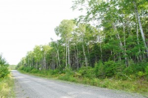 image of land for sale