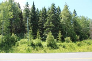 lot for sale Parry Sound