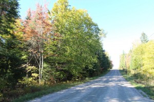 Ontario land for sale