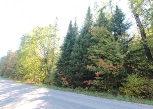 lot for sale in Nipissing Ontario