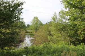 view of pond