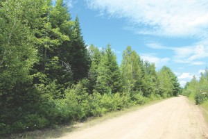 land for sale in New Brunswick