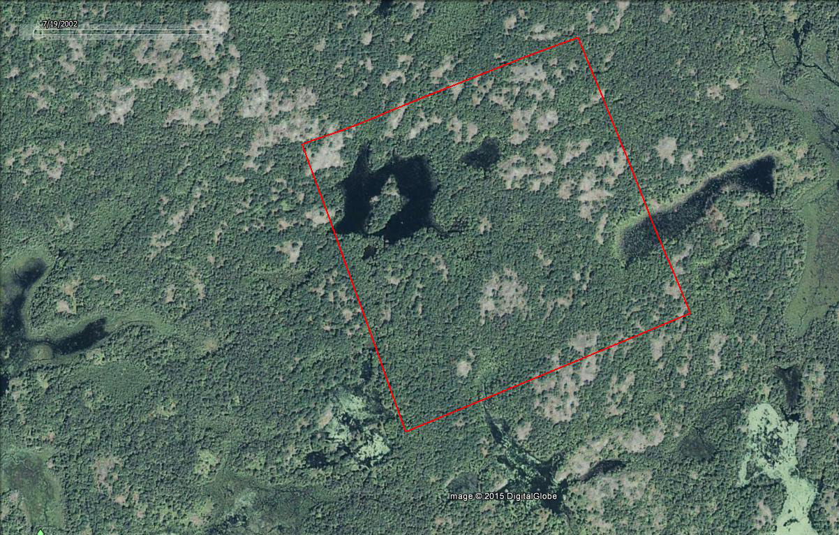 Hunting land for sale in Hastings, Ontario