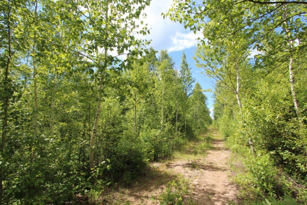 Brunswick Land For Sale