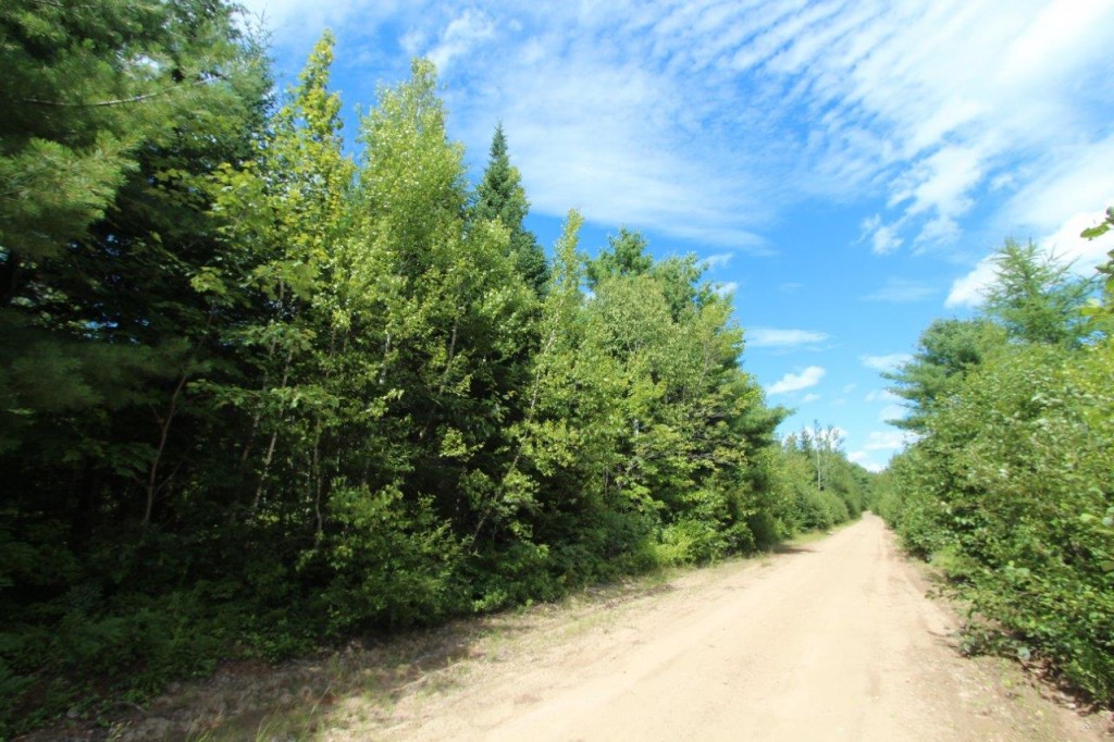 land for sale New Brunswick Dignam Land Land for Sale in Canada