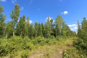 New Brunswick vacant land for sale