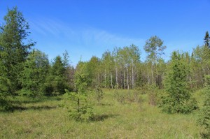 Hunting land in Northern Ontario