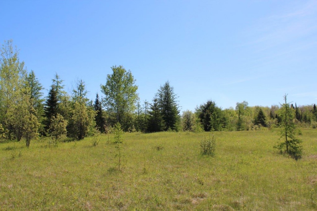 hunting land in northern ontario Dignam Land Land for Sale in Canada