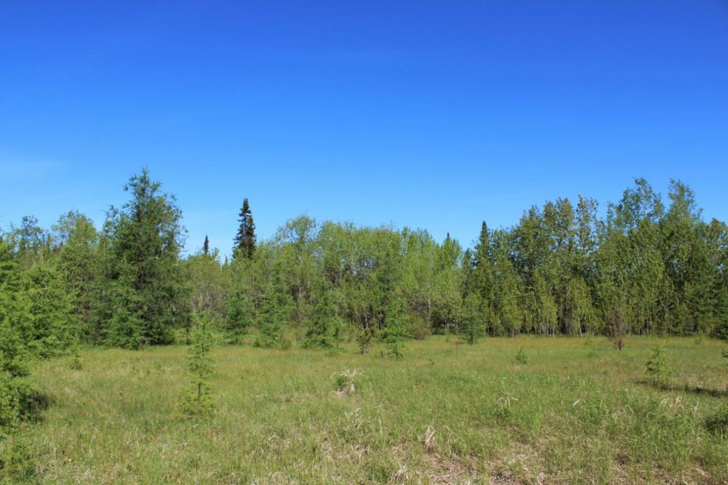 land for sale northern ontario Dignam Land Land for Sale in Canada