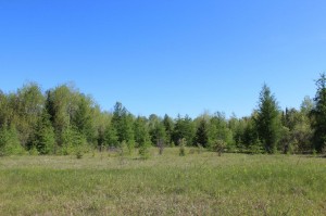 Land for sale in Northern Ontario