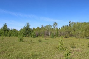 Northern Ontario Property for sale