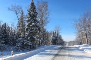 property for sale Parry Sound