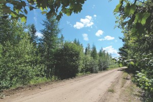 Vacant land for sale in New Brunswick
