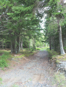 land for sale in nova scotia