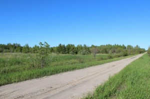 land for sale perfect for hunting