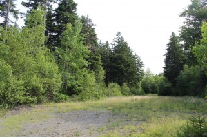 land for sale Nova Scotia