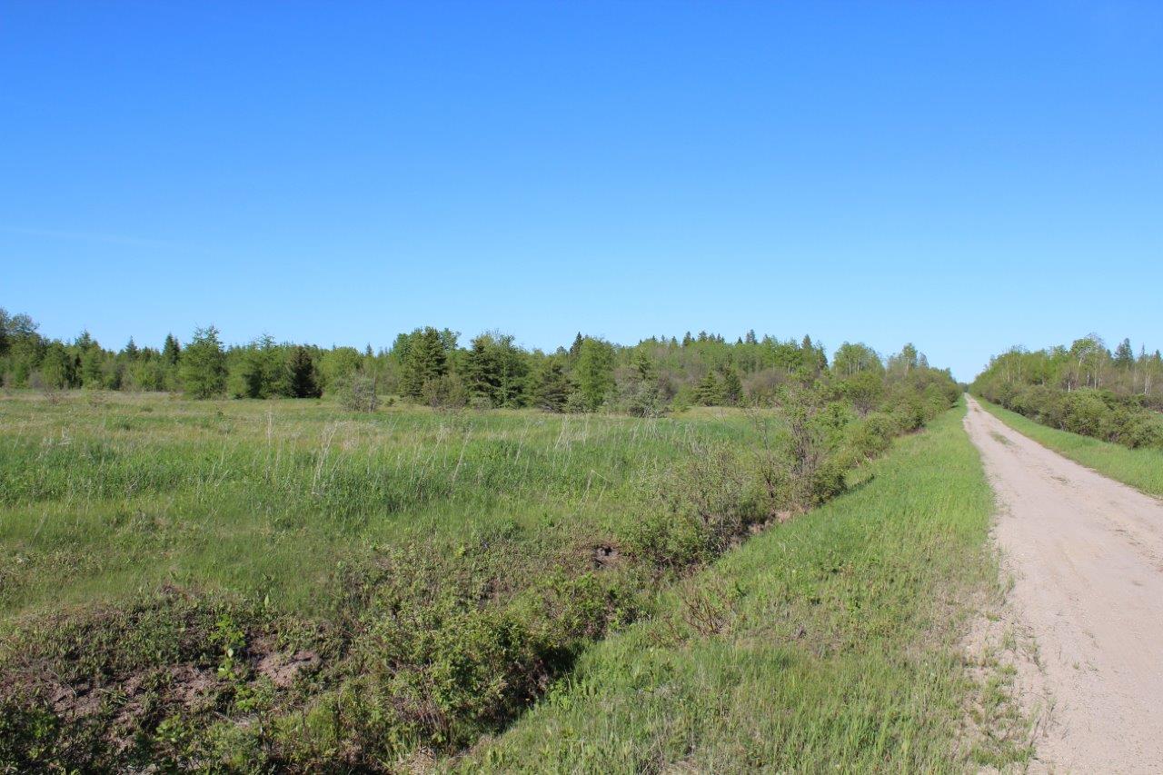 New Lenox Land For Sale