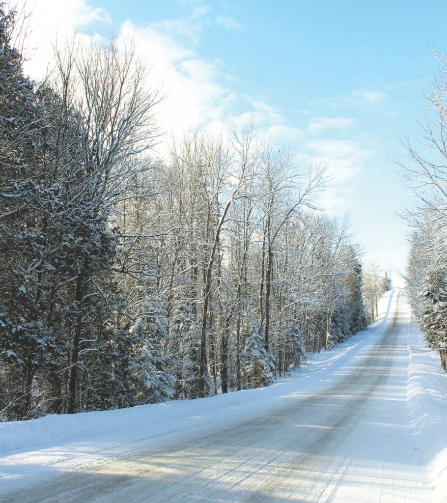 northernontariolandforsale Dignam Land Land for Sale in Canada