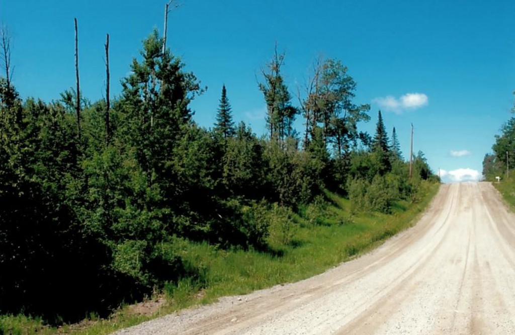 buildinglotforsaleontario Dignam Land Land for Sale in Canada